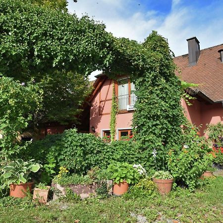 Countryside Apartment With Garden Шалльштадт Екстер'єр фото